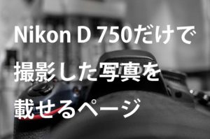 Nikon D 750だけで撮影した写真を載せるページ