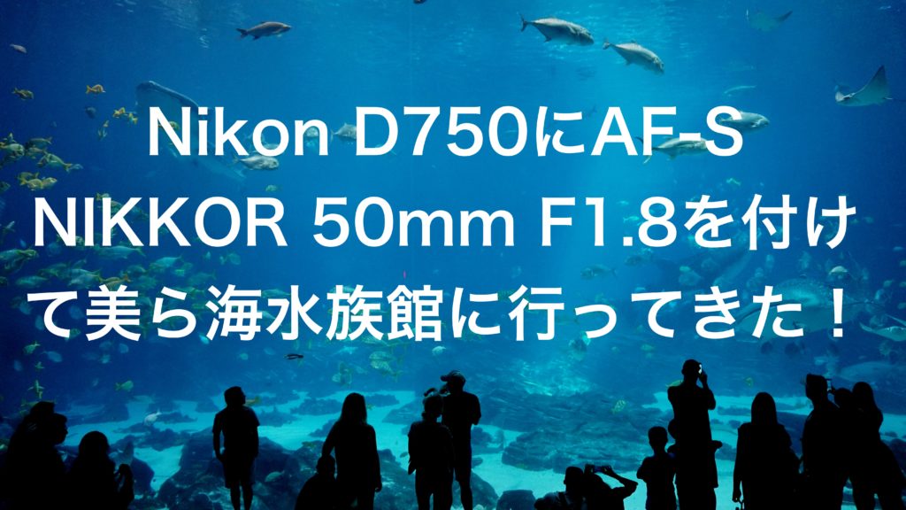 Nikon D750にAF-S NIKKOR 50mm F1.8を付けて美ら海水族館に行ってきた！