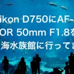 Nikon D750にAF-S NIKKOR 50mm F1.8を付けて美ら海水族館に行ってきた！