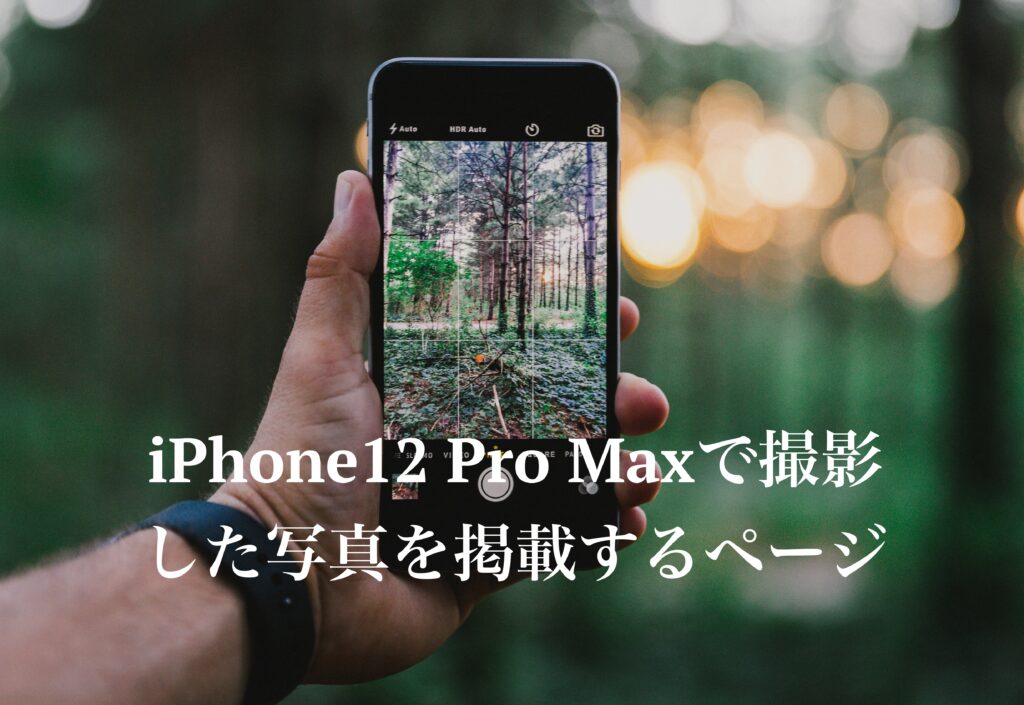 iPhone12 Pro Maxで撮影した写真を掲載するページ