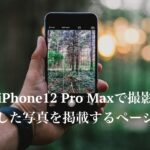 iPhone12 Pro Maxで撮影した写真を掲載するページ